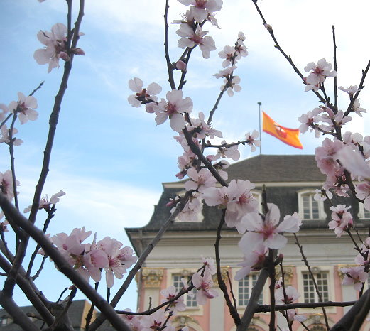Bonn Rechtsanwaltskanzlei
